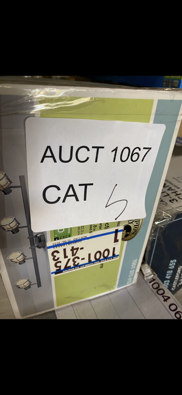 AUCT 1067 CAT 5 - Image 2