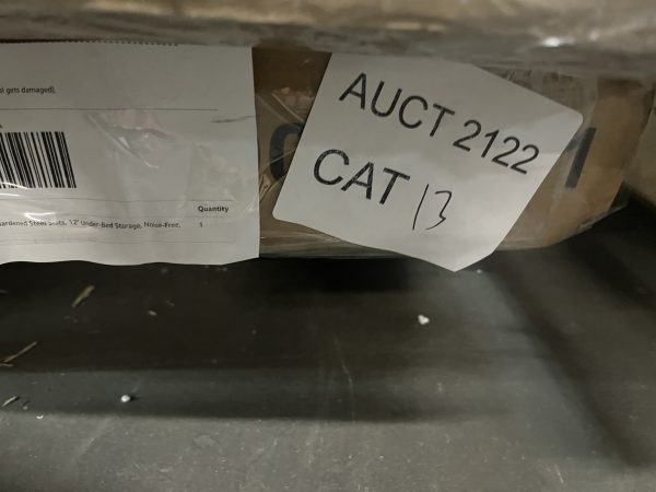 AUCT 2122 CAT 13 - Image 2