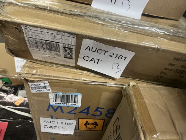 AUCT 2181 CAT 13 - Image 2