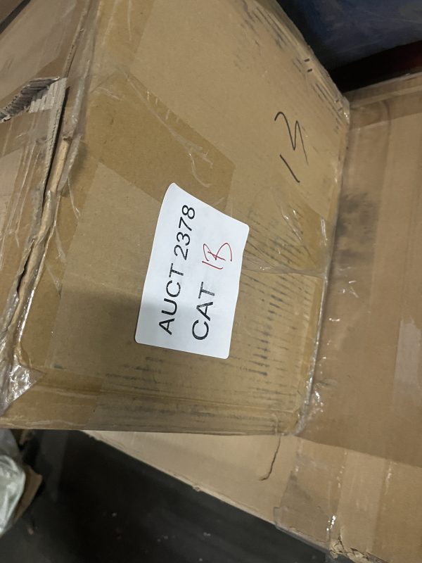 AUCT 2378 CAT 13 - Image 2