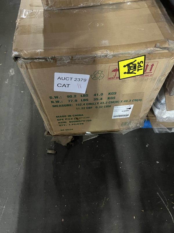 AUCT 2379 CAT 11 - Image 2