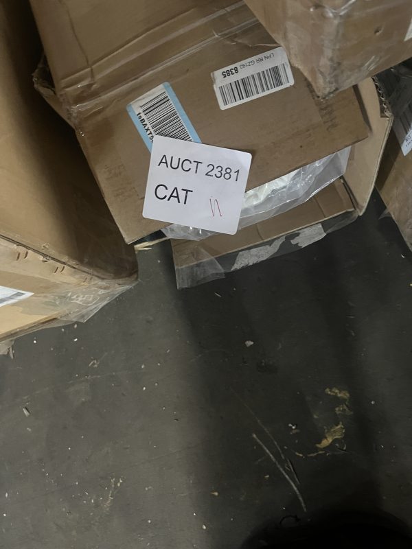AUCT 2381 CAT 11 - Image 2