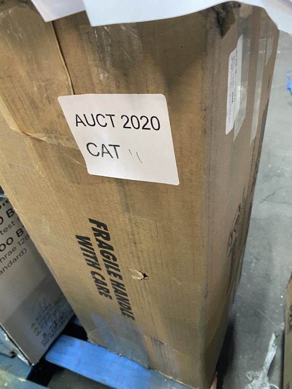 AUCT 2020 CAT 11 - Image 2