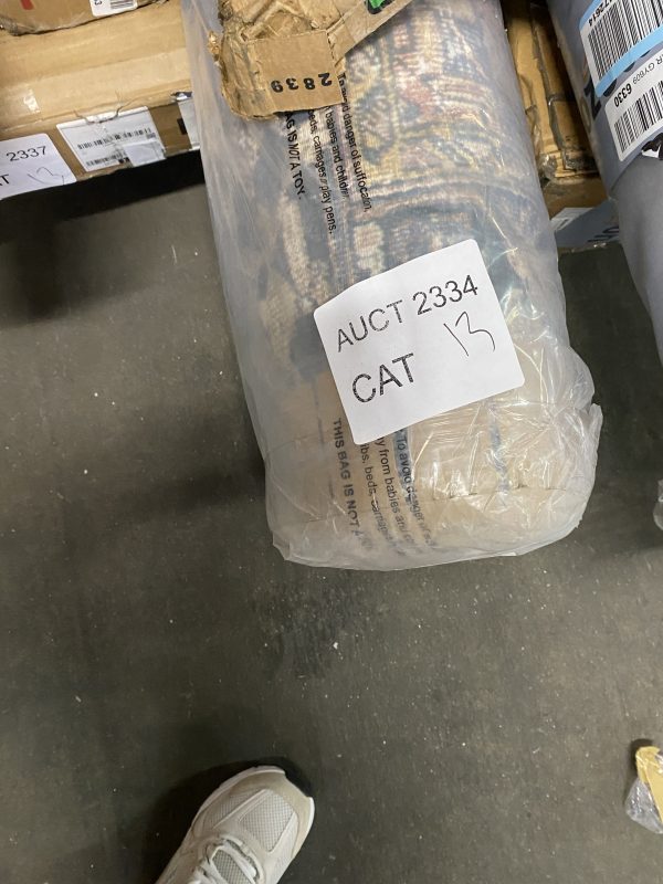 AUCT 2334 CAT 13 - Image 2
