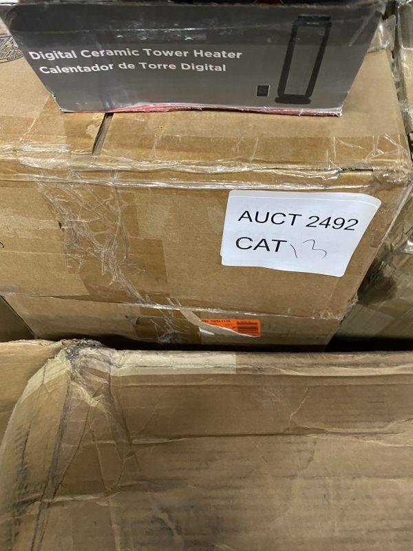 AUCT 2492 CAT 13 - Image 3