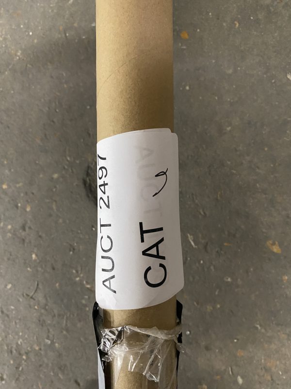 AUCT 2497 CAT 7 - Image 2