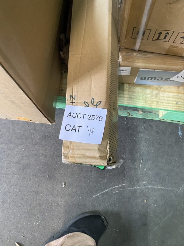 AUCT 2579 CAT 16 - Image 2
