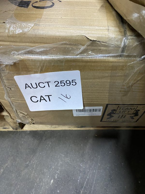 AUCT 2595 CAT 16 - Image 2