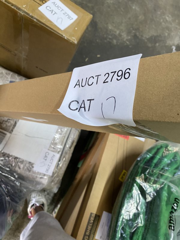 AUCT 2796 CAT 17 - Image 2