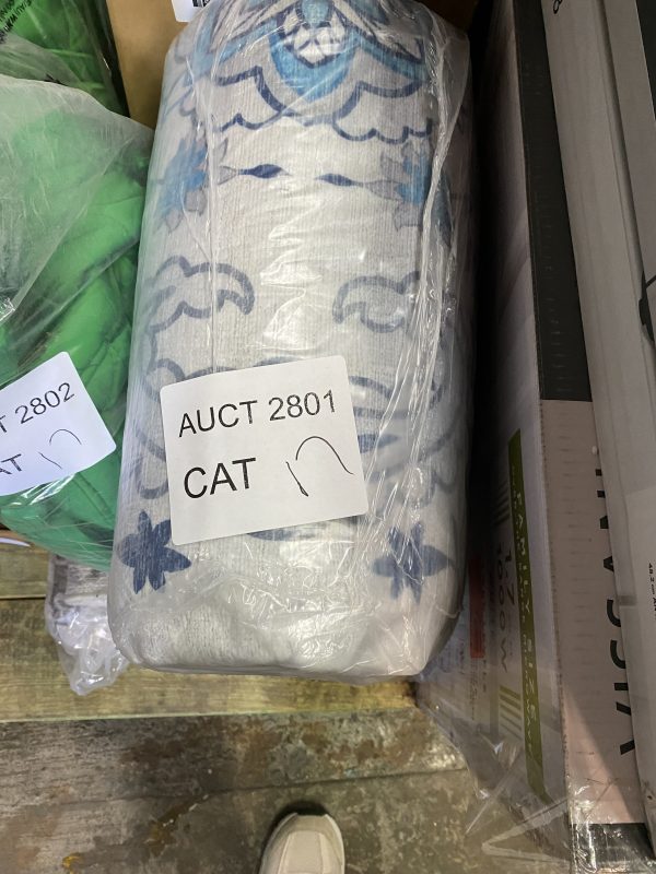 AUCT 2801 CAT 17 - Image 2