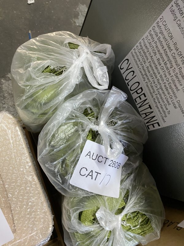 AUCT 2808 CAT 17 - Image 2