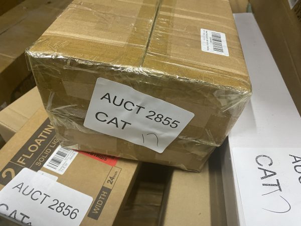 AUCT 2855 CAT 17 - Image 2