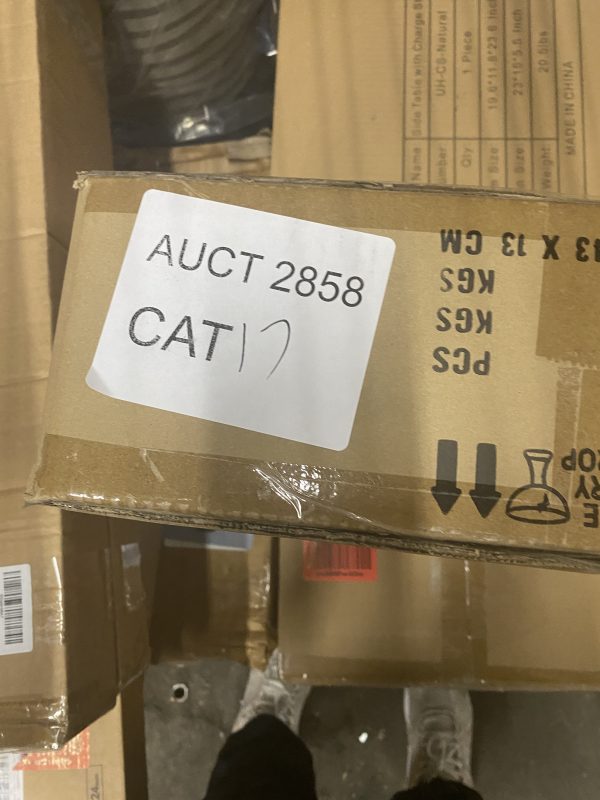 AUCT 2858 CAT 17 - Image 2