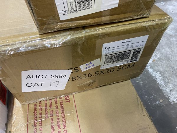 AUCT 2884 CAT 17 - Image 2