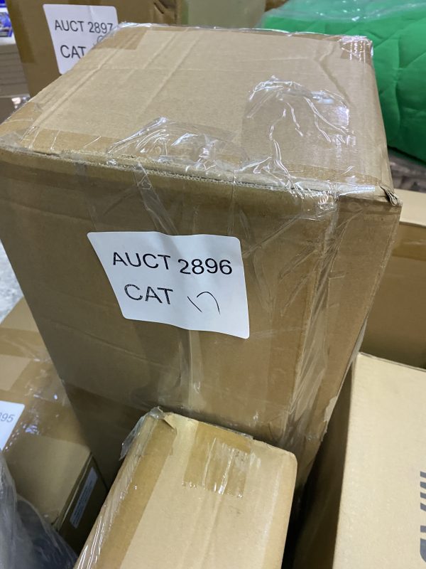 AUCT 2896 CAT 17 - Image 2