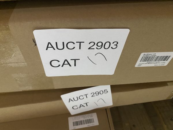 AUCT 2903 CAT 17 - Image 2
