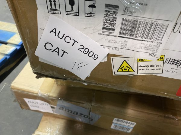 AUCT 2909 CAT 18 - Image 2