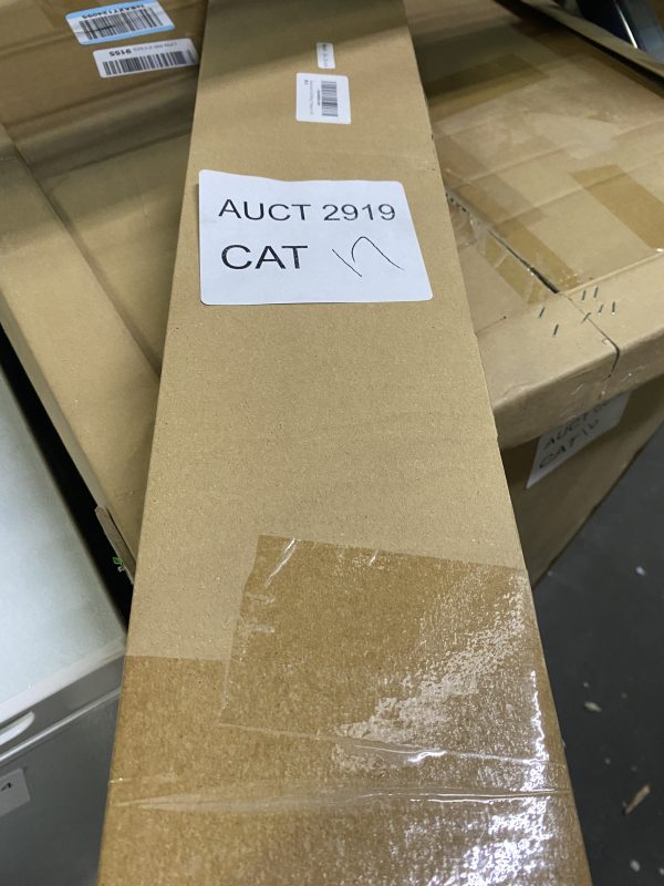 AUCT 2919 CAT 17 - Image 2