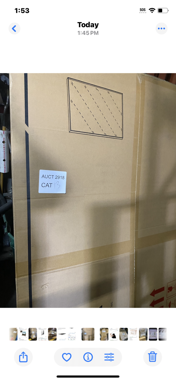 AUCT 2918 CAT 13 - Image 2