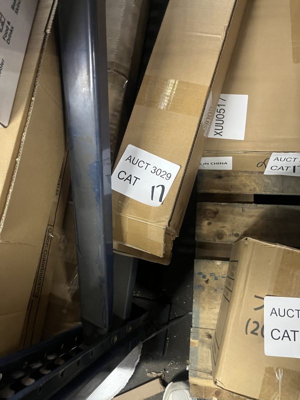 AUCT 3029 CAT 17 - Image 2
