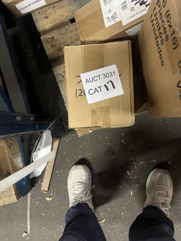 AUCT 3031 CAT 17 - Image 2