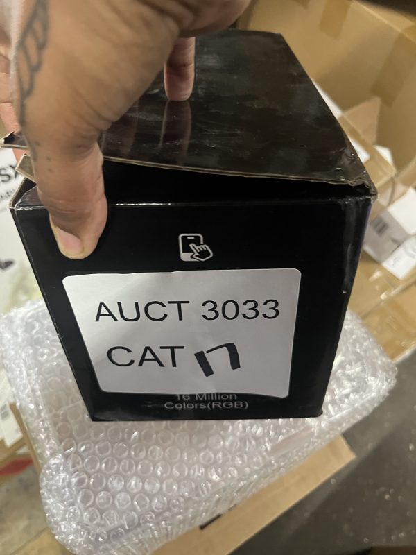 AUCT 3033 CAT 17 - Image 2