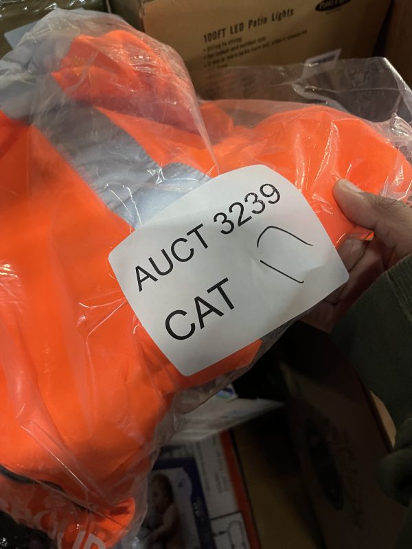 AUCT 3239 CAT 17 - Image 2