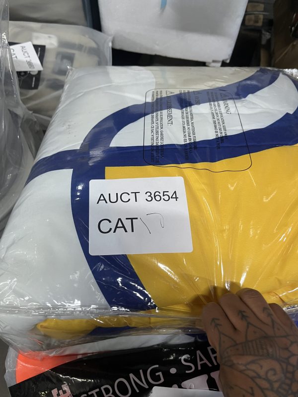 AUCT 3654 CAT 17 - Image 2