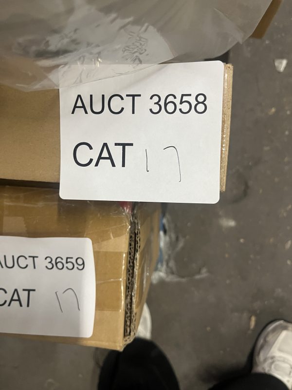 AUCT 3658 CAT 17 - Image 2