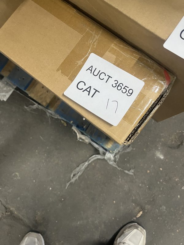 AUCT 3659 CAT 17 - Image 2