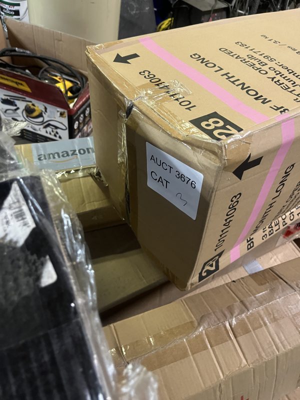 AUCT 3676 CAT 3 - Image 2