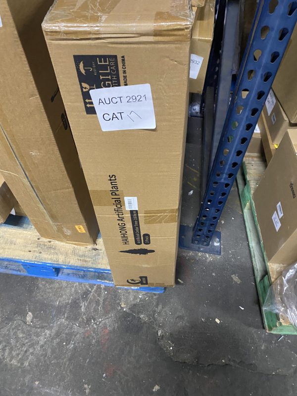 AUCT 2921 CAT 17 - Image 2