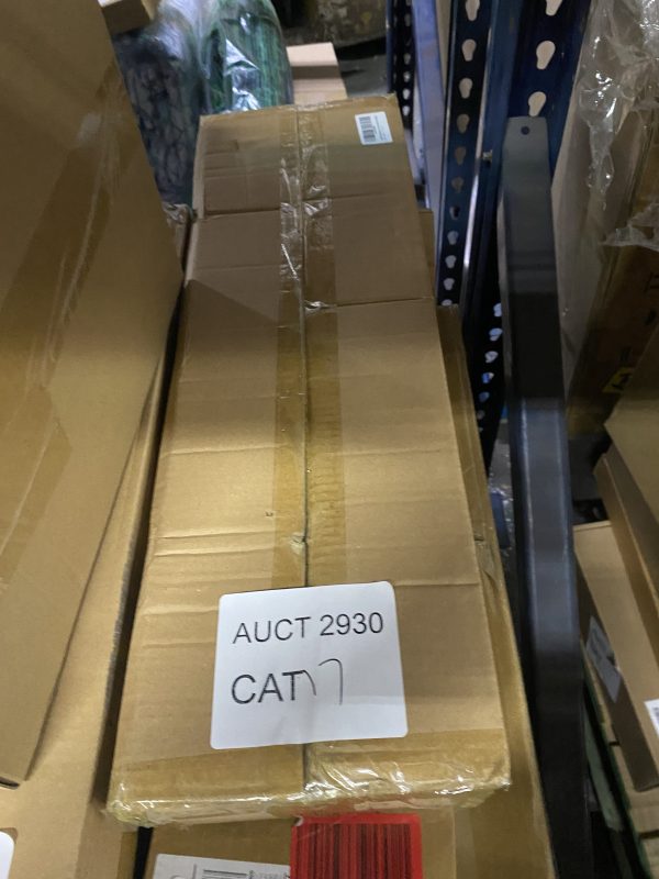 AUCT 2930 CAT 17 - Image 2