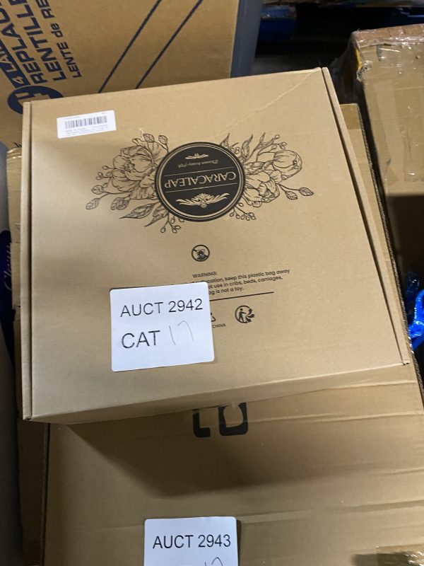 AUCT 2942 CAT 17 - Image 2
