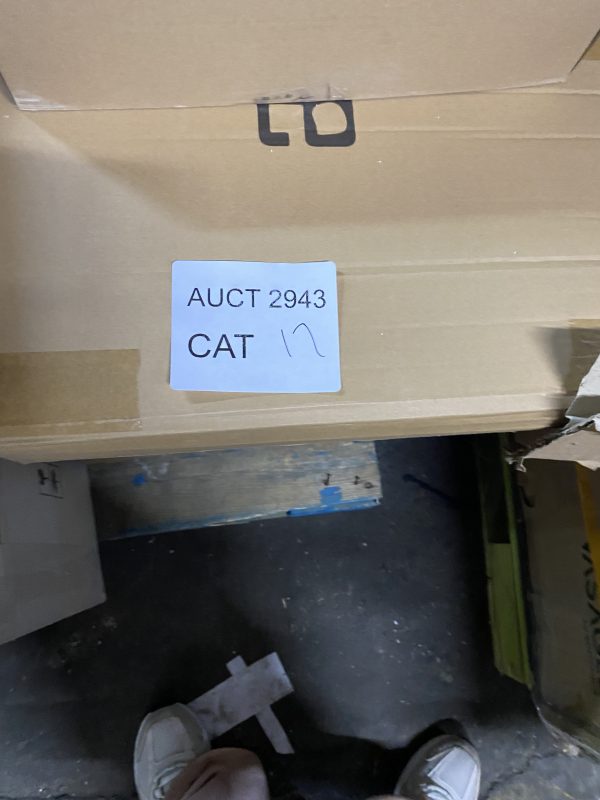 AUCT 2943 CAT 17 - Image 2
