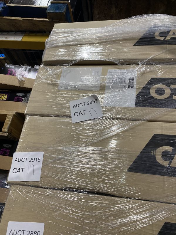 AUCT 2959 CAT 17 - Image 2