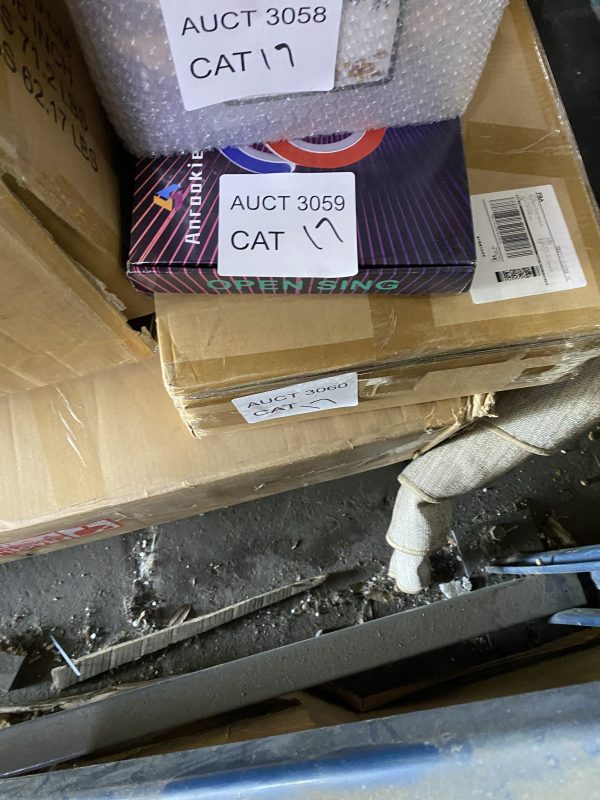 AUCT 3059 CAT 17 - Image 2