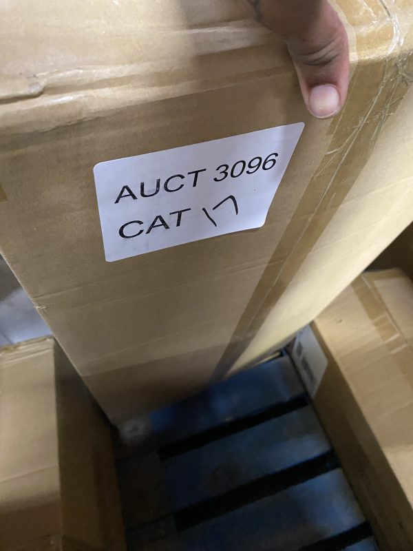 AUCT 3096 CAT 17 - Image 2