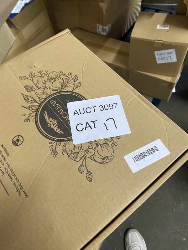 AUCT 3097 CAT 17 - Image 2