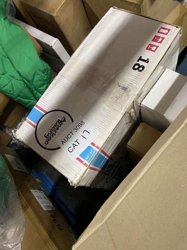 AUCT 3098 CAT 17 - Image 2