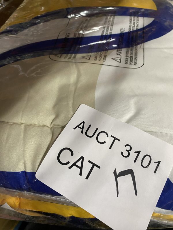 AUCT 3101 CAT 17 - Image 2