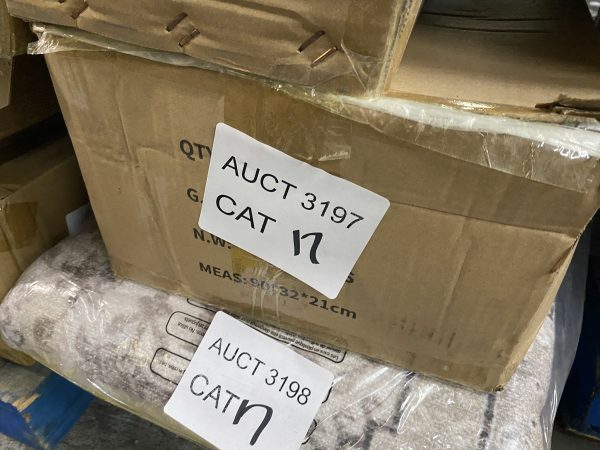 AUCT 3197 CAT 17 - Image 2