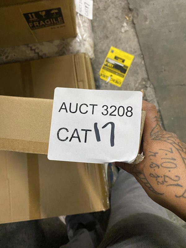 AUCT 3208 CAT 17 - Image 2