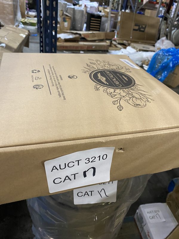 AUCT 3210 CAT 17 - Image 2