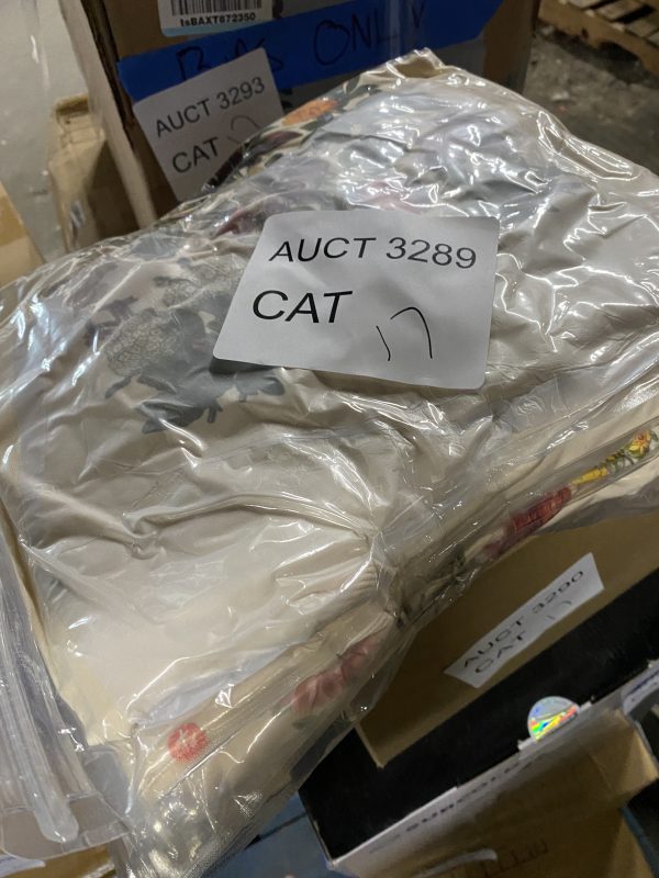 AUCT 3289 CAT 17 - Image 2