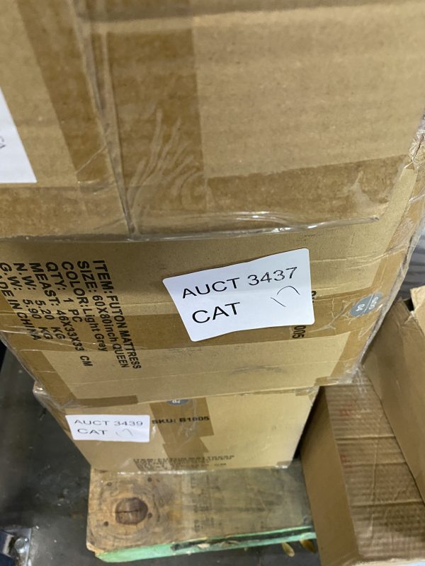 AUCT 3437 CAT 17 - Image 2