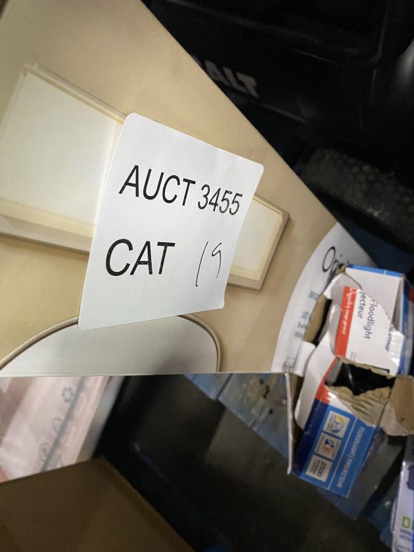 AUCT 3455 CAT 19 - Image 2