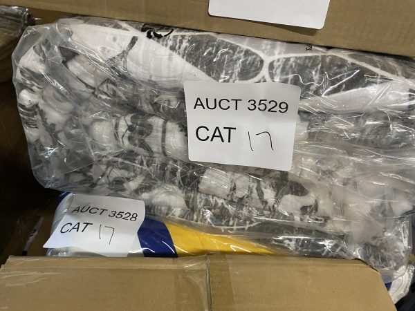 AUCT 3529 CAT 17 - Image 2