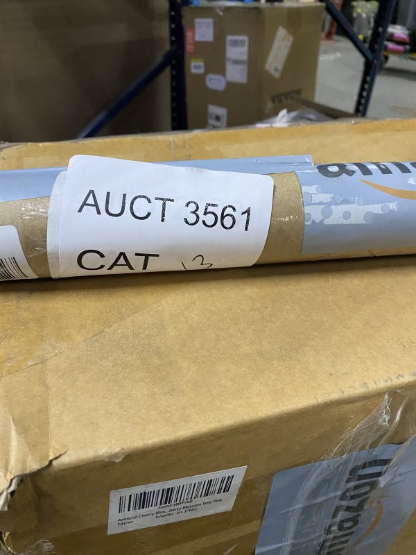 AUCT 3561 CAT 13 - Image 2