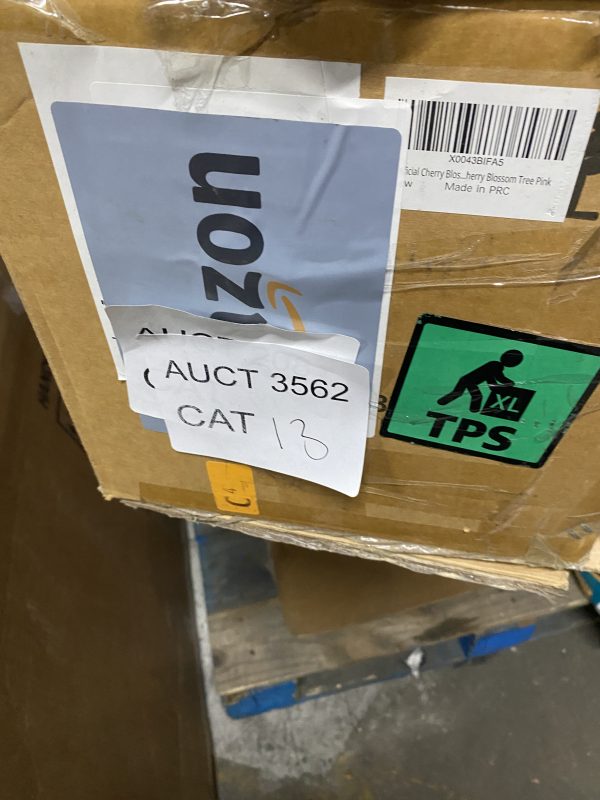 AUCT 3562 CAT 13 - Image 2